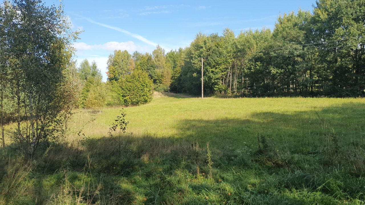 Działka siedliskowa Bukowina. Zdjęcie 6