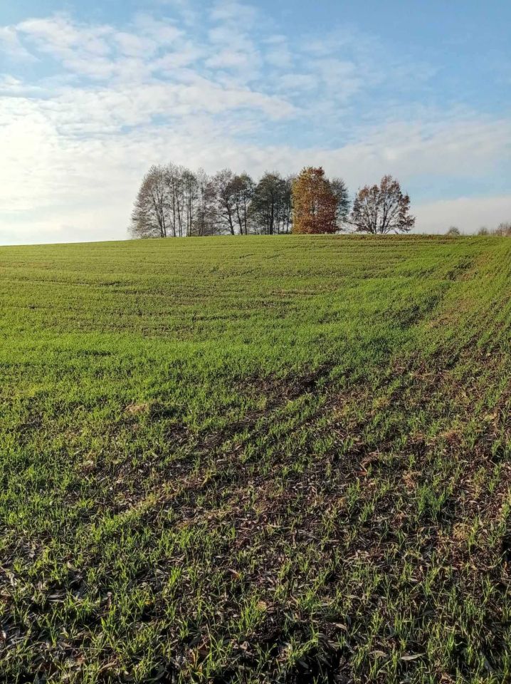 Działka rolno-budowlana Białotarsk