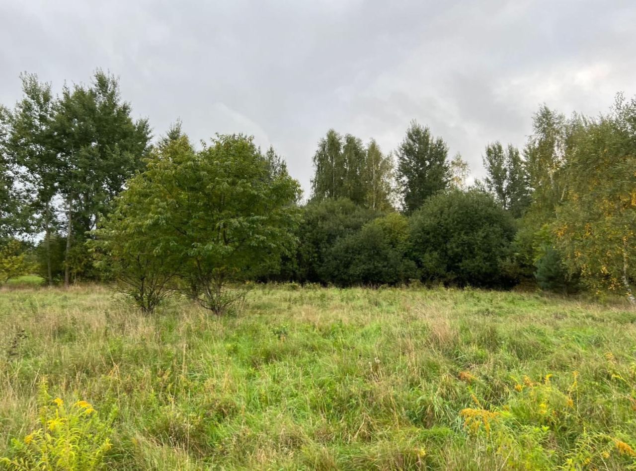 Działka budowlana Wymiarki. Zdjęcie 3