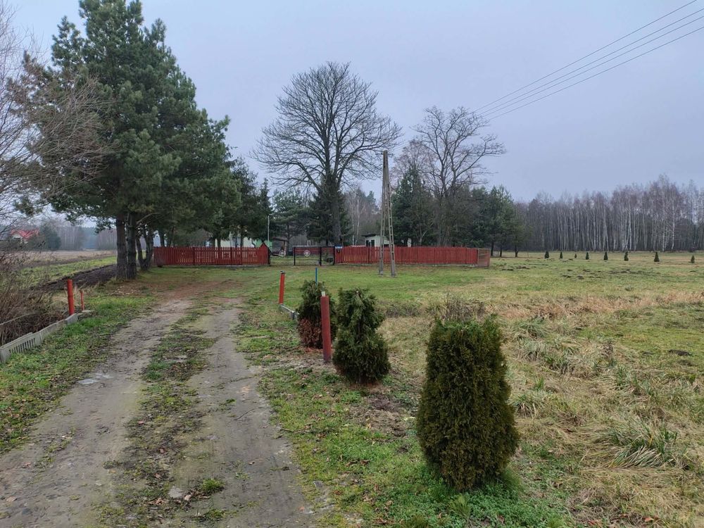 Działka siedliskowa Łosinno, ul. Polna. Zdjęcie 3