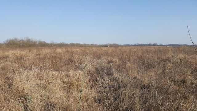 Działka inwestycyjna Kaniów, Nad Wisłą. Zdjęcie 3