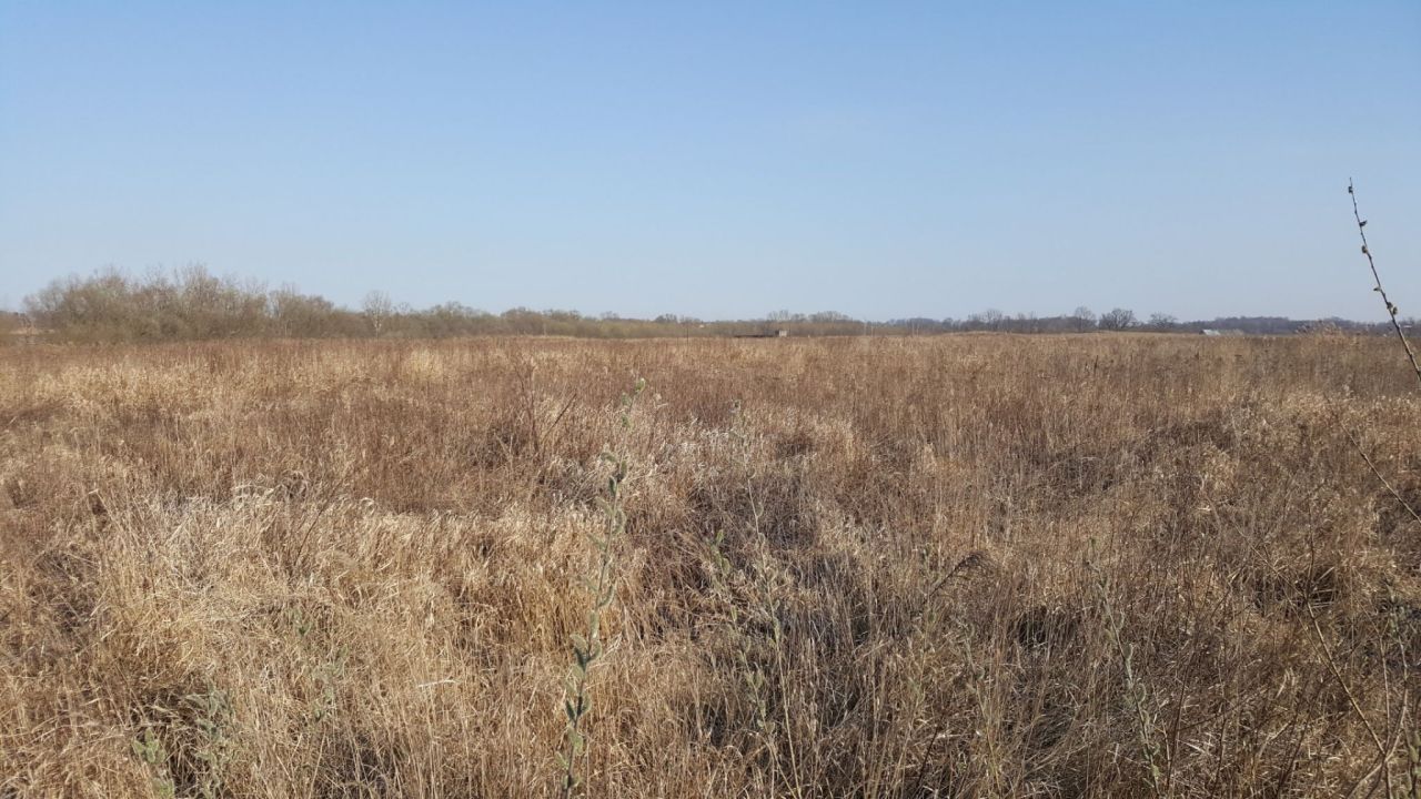 Działka inna Kaniów. Zdjęcie 3