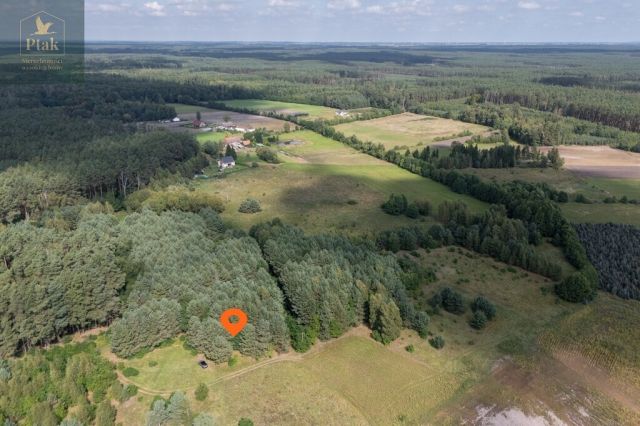 Działka rolna Obrzycko. Zdjęcie 7