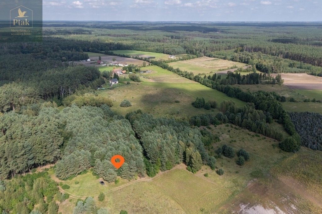 Działka rolna Obrzycko. Zdjęcie 7