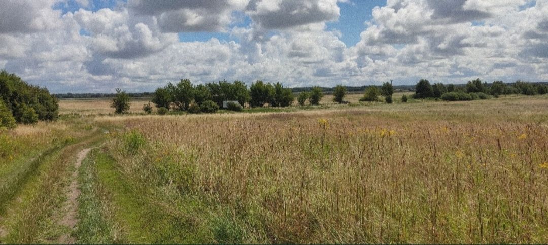 Działka budowlana Pobierowo, ul. Wojska Polskiego. Zdjęcie 7