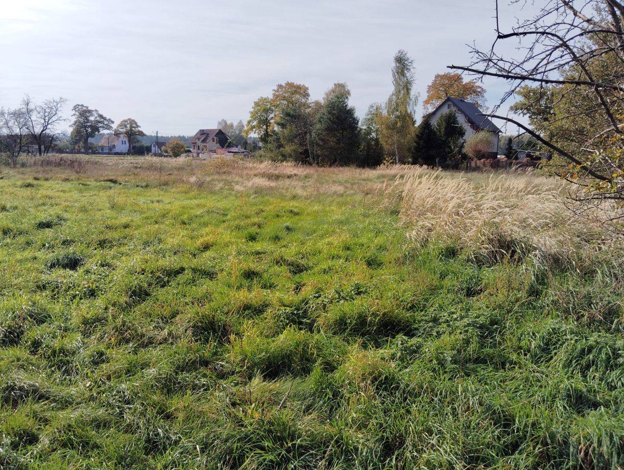 Działka rolno-budowlana Tarnowiec. Zdjęcie 10