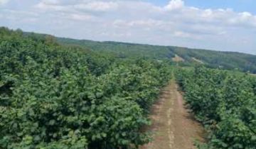 Działka rolna Podwysokie