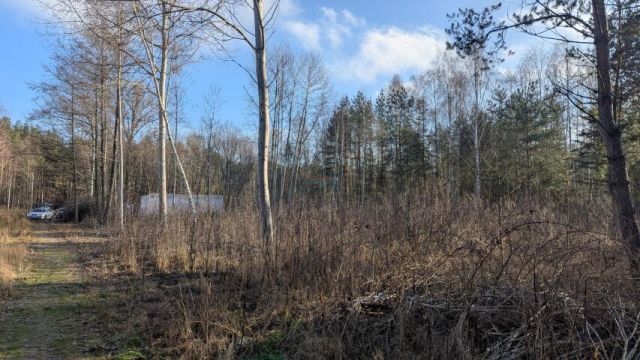Działka budowlana Jeziórko Ustanówek. Zdjęcie 3