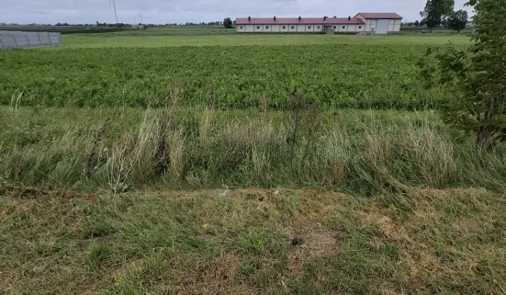 Działka budowlana Białożewin