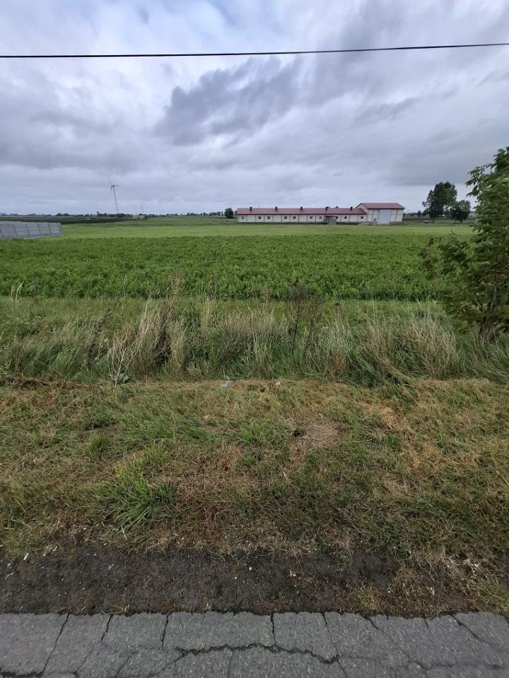 Działka budowlana Białożewin. Zdjęcie 1