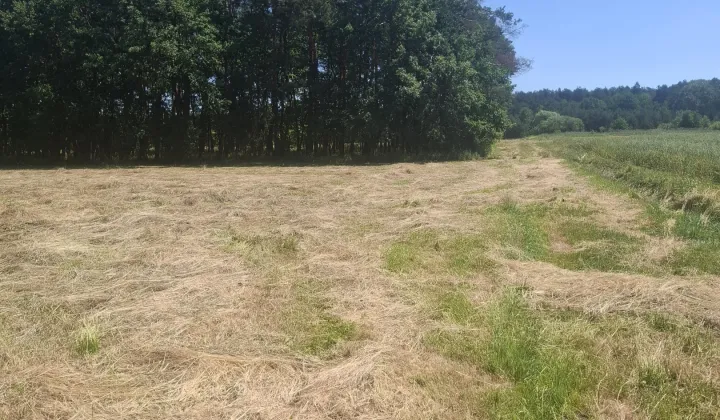 Działka rolna Piasek Wielki, Piasek