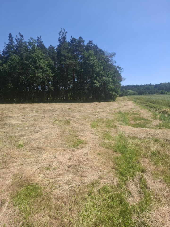 Działka rolna Piasek Wielki, Piasek. Zdjęcie 1