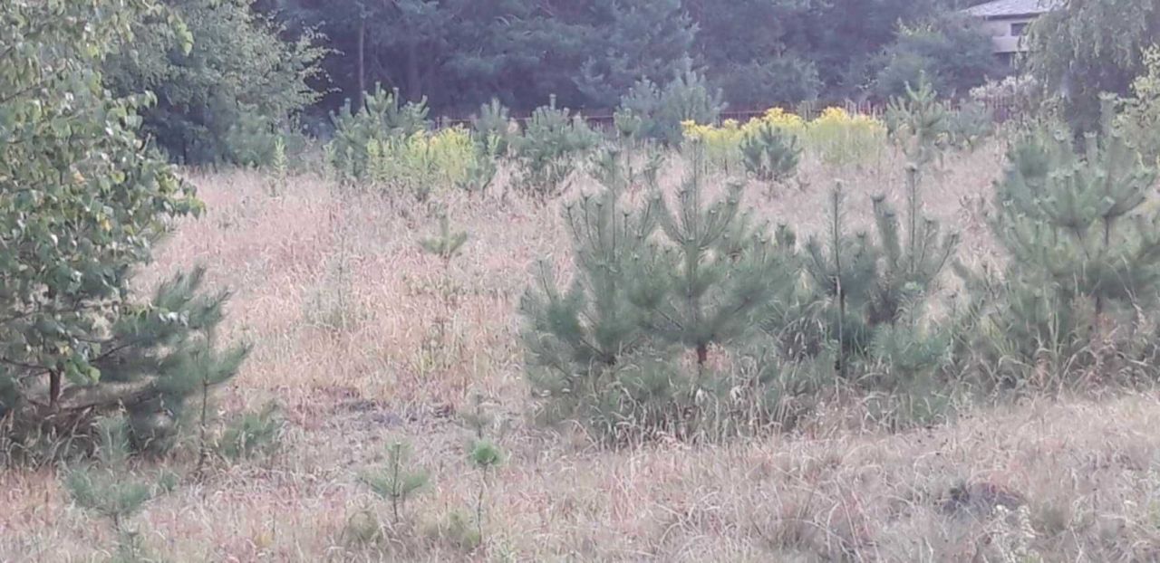 Działka rolno-budowlana Kozłówka. Zdjęcie 8