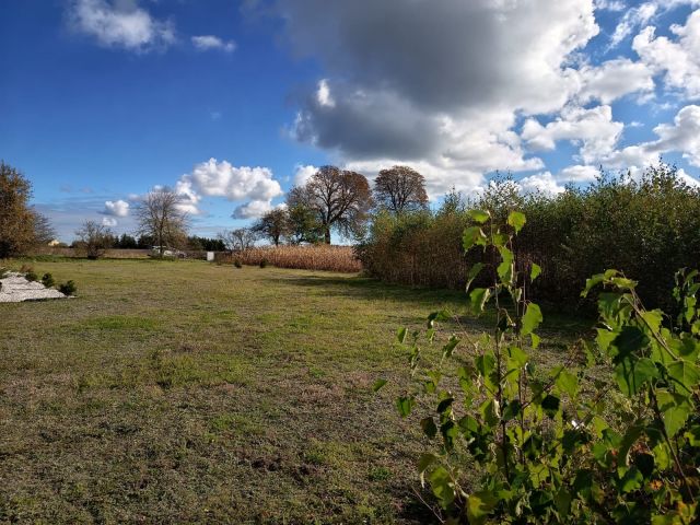 Działka rolno-budowlana Pruska Łąka. Zdjęcie 4