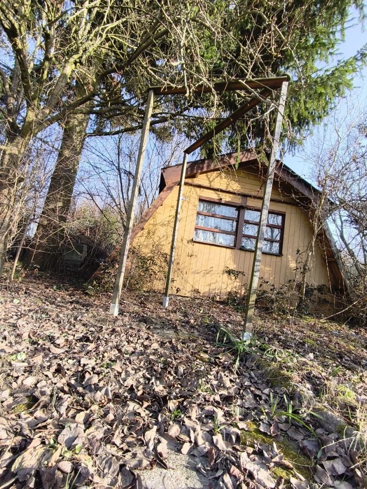 Działka rod Dąbrowica. Zdjęcie 10