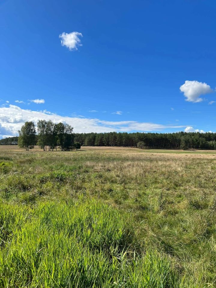 Działka rolna Trzebielino, Trzebielino. Zdjęcie 2