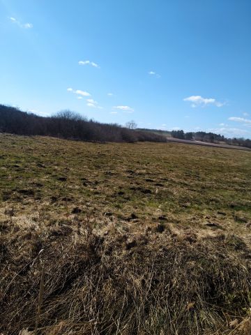 Działka rolna Mieroszyno, ul. Starowiejska. Zdjęcie 1