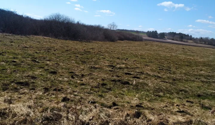 Działka rolna Mieroszyno, ul. Starowiejska