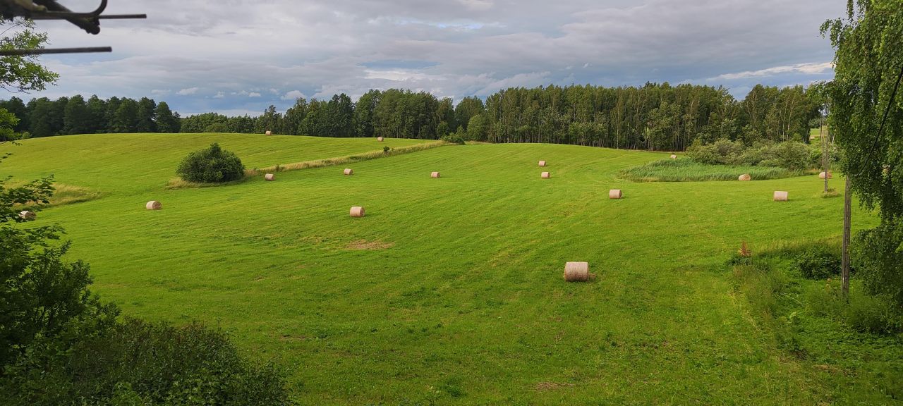 siedlisko, 5 pokoi Zełwągi Nowiny, Zełwągi. Zdjęcie 12