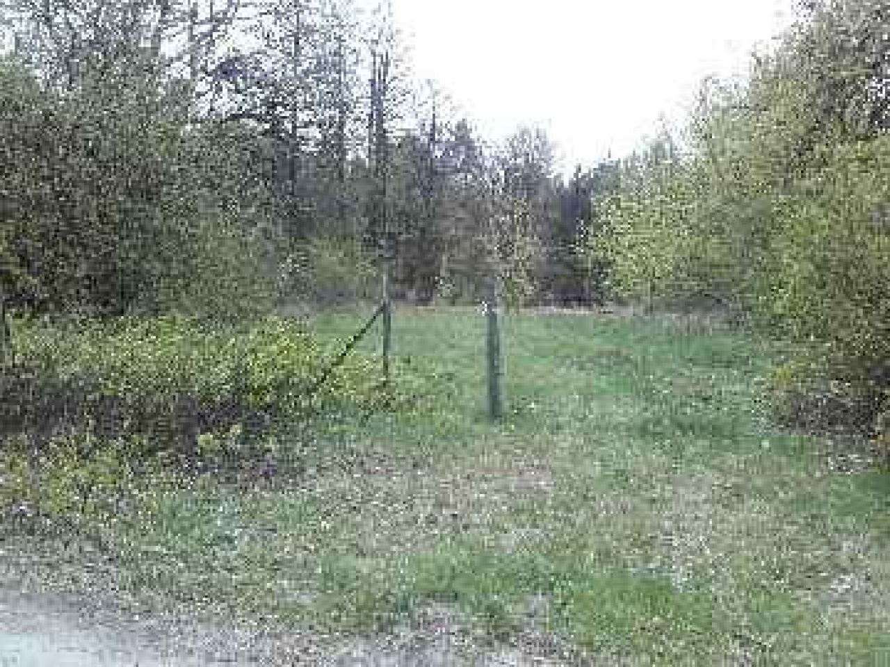 Działka rolno-budowlana Brzezie. Zdjęcie 4