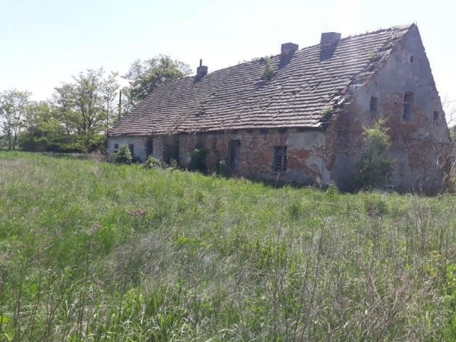 Działka budowlana Łosice. Zdjęcie 1