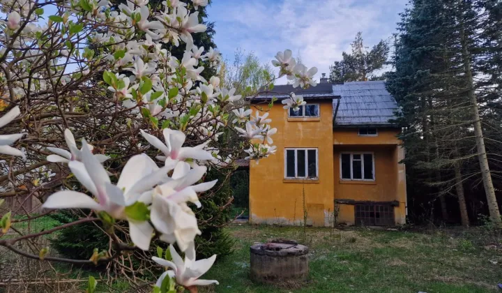 dom wolnostojący, 4 pokoje Groszowice Wrzosów