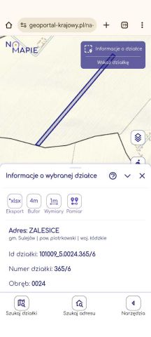 Działka rolna Zalesice. Zdjęcie 1