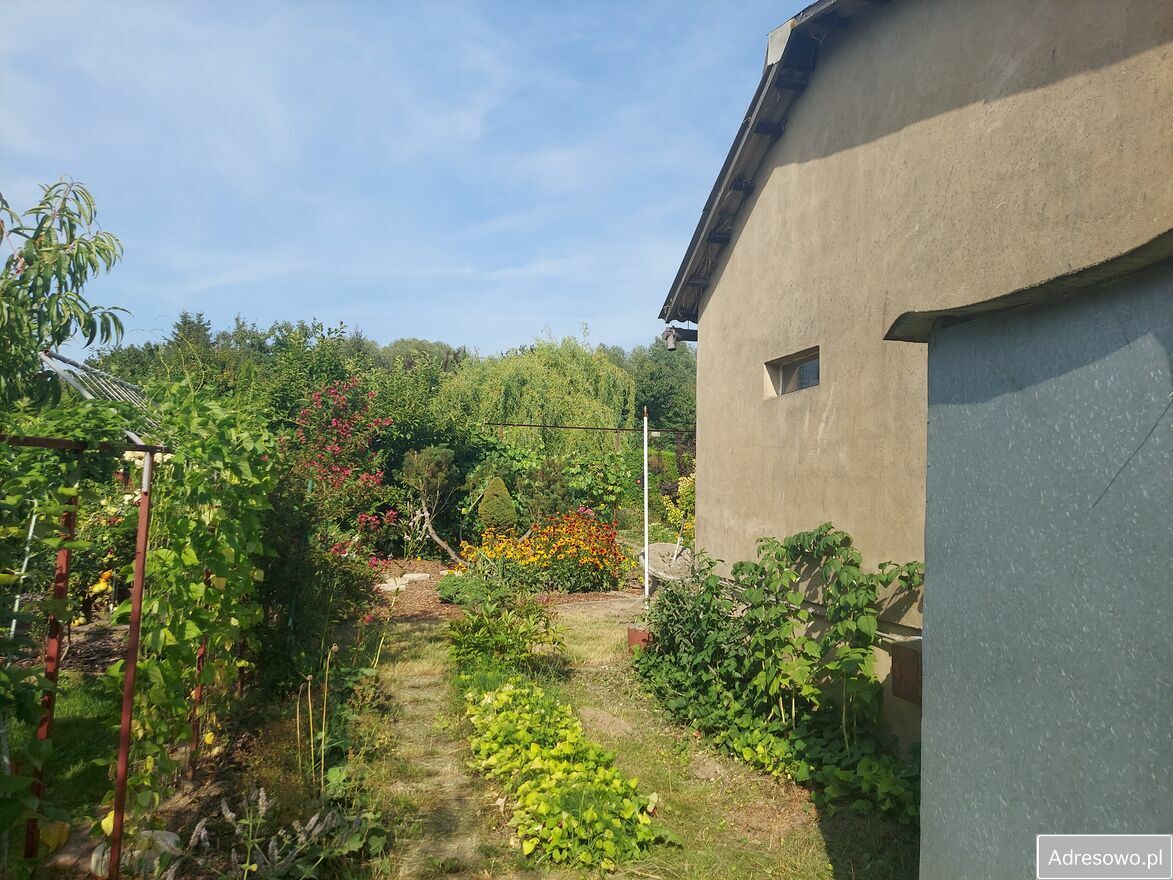 Działka rod Śrem, ul. Józefa Chełmońskiego. Zdjęcie 11