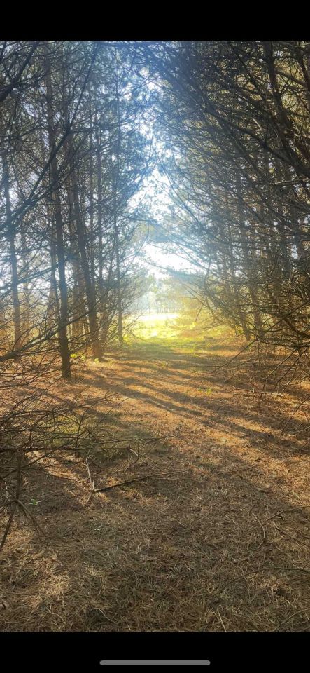 Działka rolno-budowlana Wiewiórowo. Zdjęcie 3