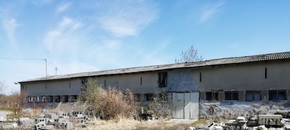 Hala/magazyn Niemierzyno. Zdjęcie 5