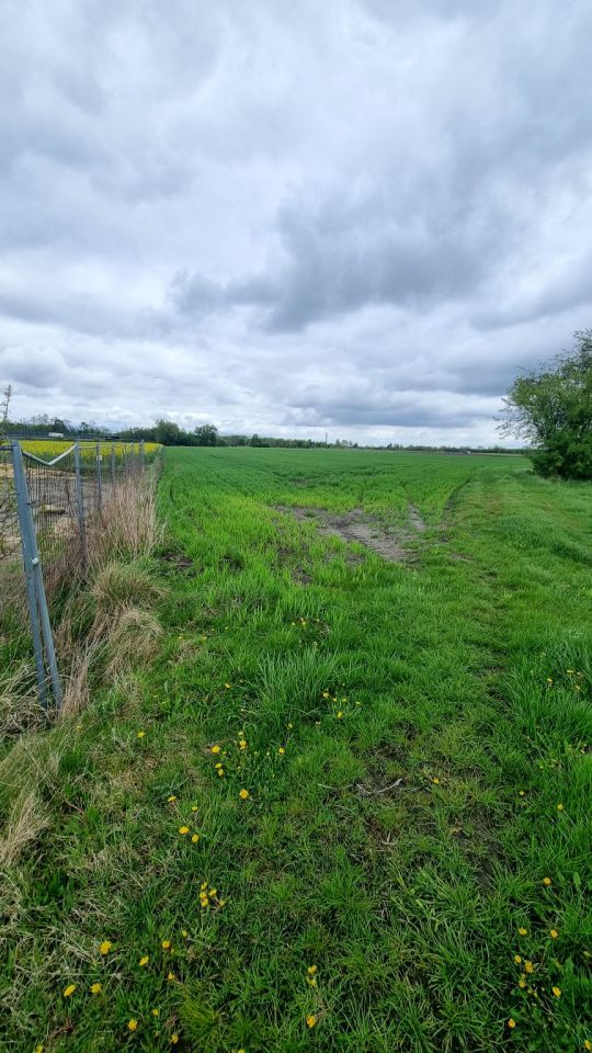 Działka rolna Żuków. Zdjęcie 15