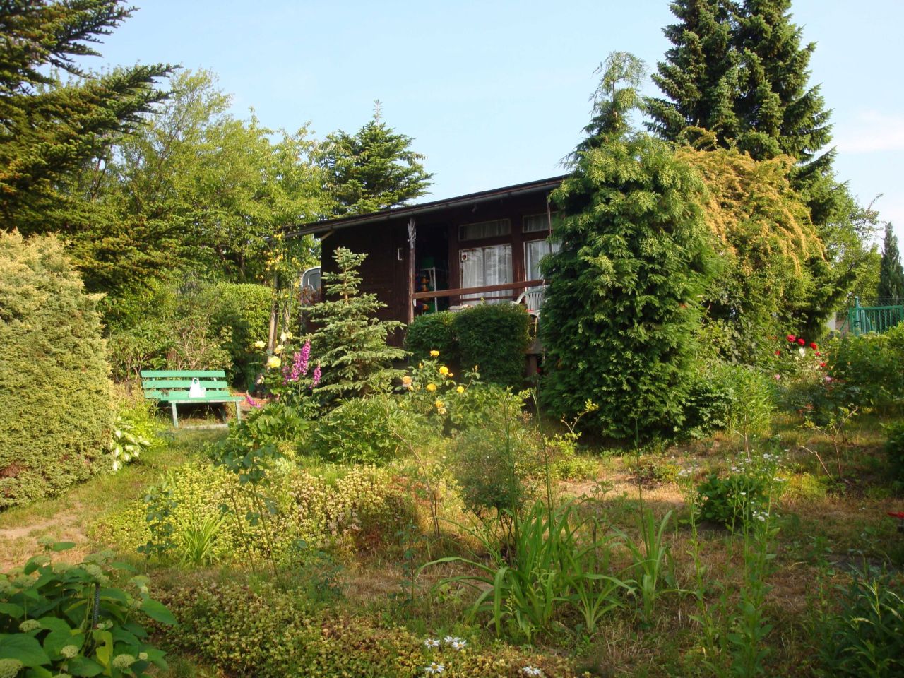 Działka rod Gdańsk Brętowo, ul. Wołkowyska. Zdjęcie 2