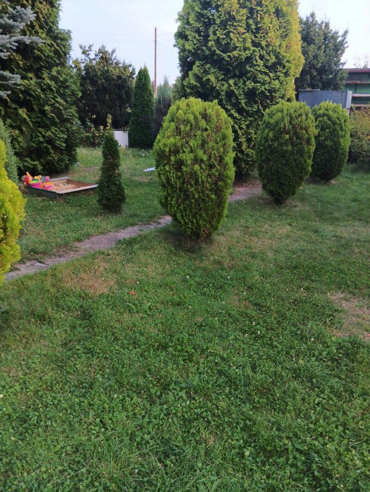 Działka rod Wieluń, ul. Polskiej Organizacji Wojskowej. Zdjęcie 3