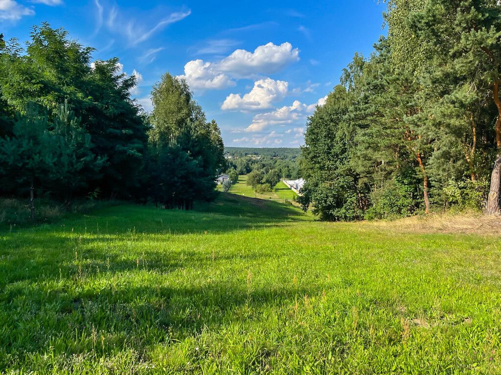 Działka budowlana Kuczów. Zdjęcie 8