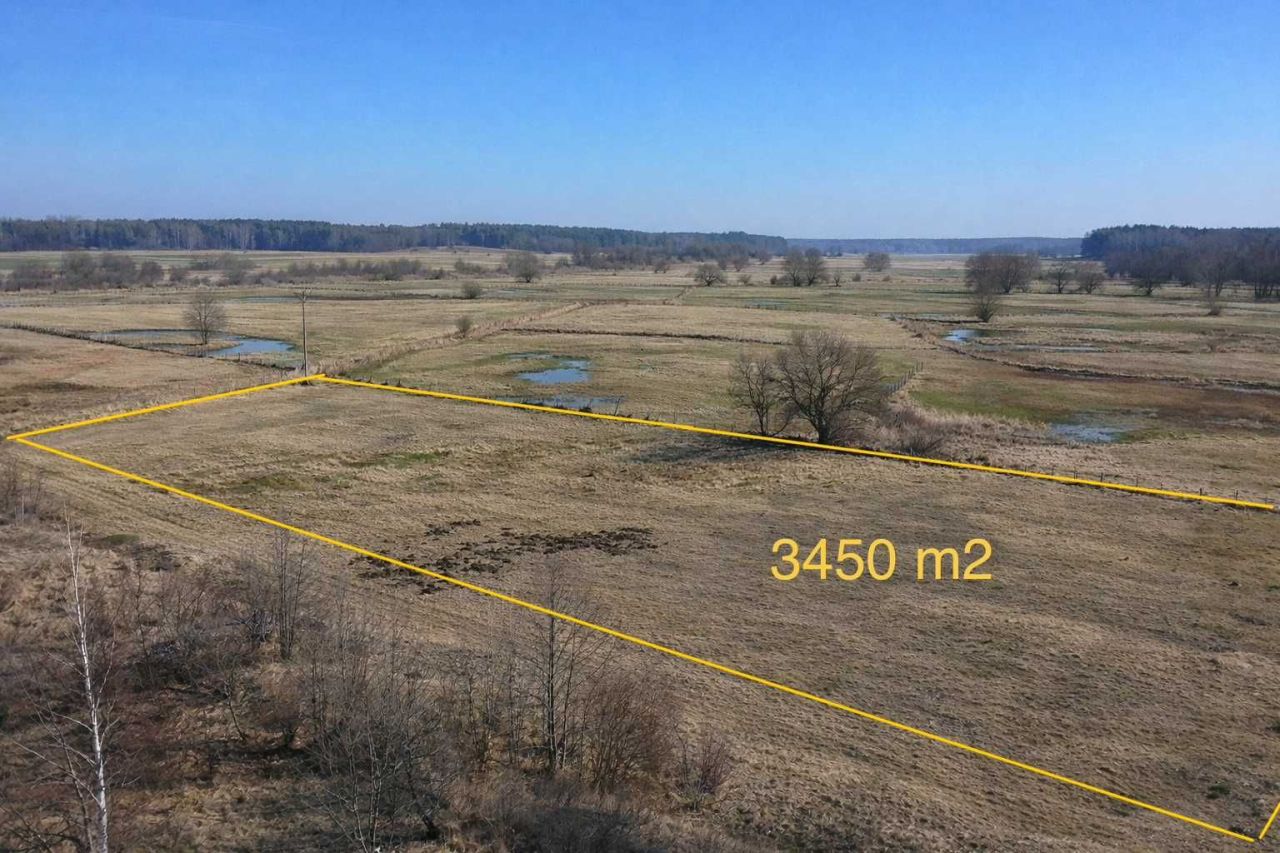 Działka rolna Stary Kraszew. Zdjęcie 6