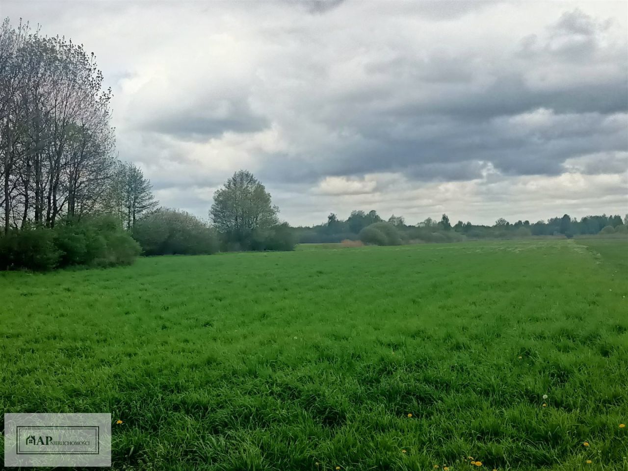 Działka Jabłków. Zdjęcie 2