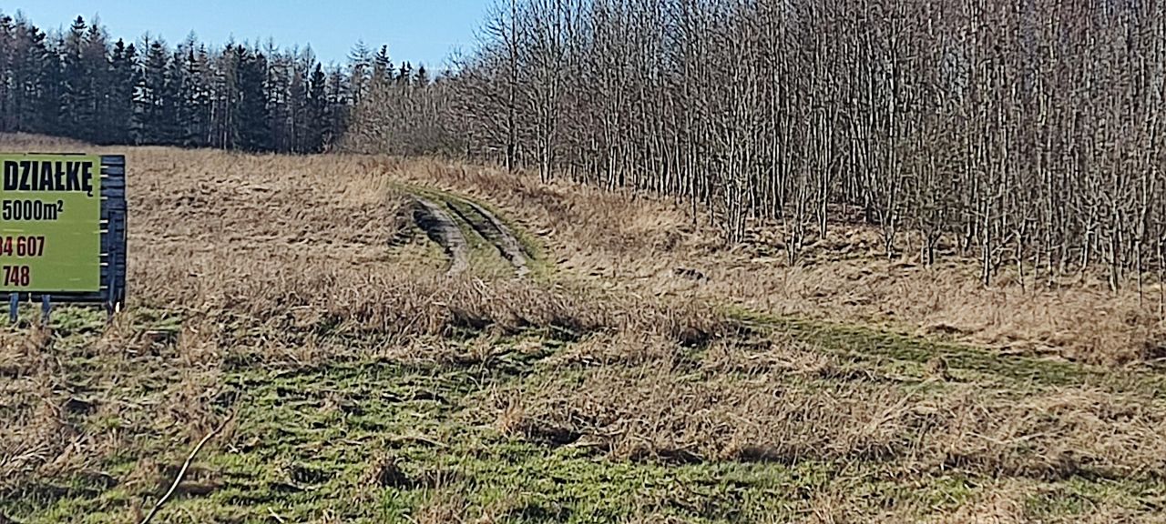 Działka budowlana Pobierowo, ul. Wojska Polskiego. Zdjęcie 16