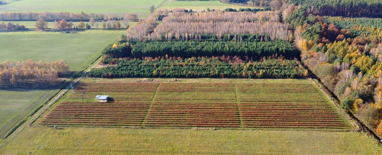 Działka rolno-budowlana Bukowo, ul. Wiejska. Zdjęcie 5