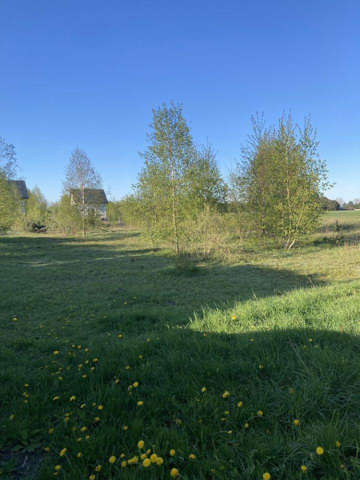 Działka budowlana Borzyszewo. Zdjęcie 2