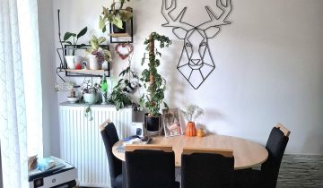 Mieszkanie 1-pokojowe Poznań Ogrody, ul. Janusza Meissnera
