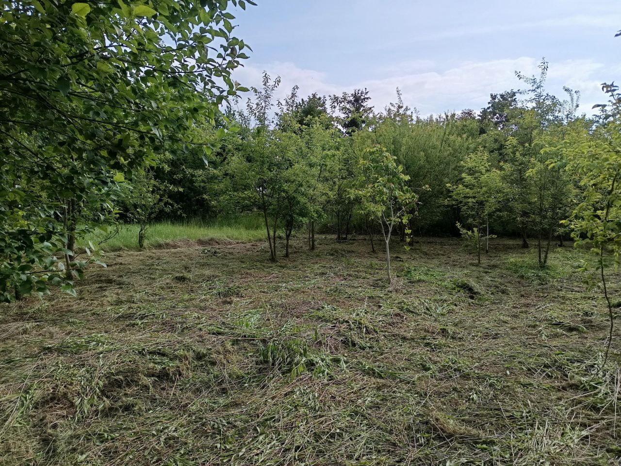 Działka rolna Mielec Cyranka, ul. Cyranowska. Zdjęcie 10