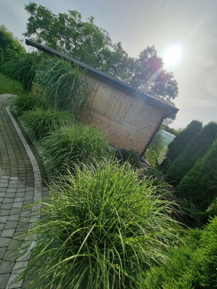 Działka rod Nowe Miasto nad Pilicą. Zdjęcie 6