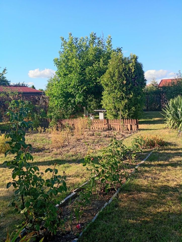 Działka rod Jawor, ul. Bolesława Limanowskiego. Zdjęcie 5