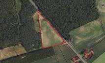 Działka inwestycyjna Orzełek. Zdjęcie 1