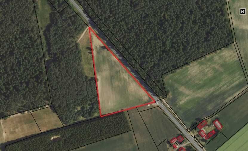 Działka inwestycyjna Orzełek. Zdjęcie 2