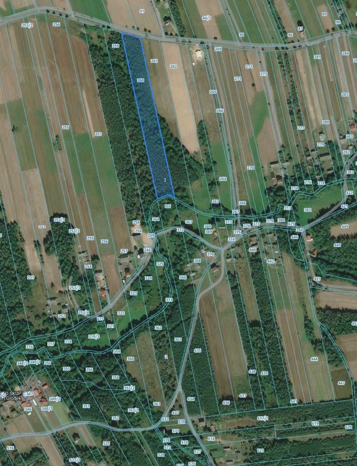 Działka rolna Jastrzębska Wola. Zdjęcie 4