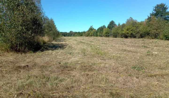 Działka rolna Obręb