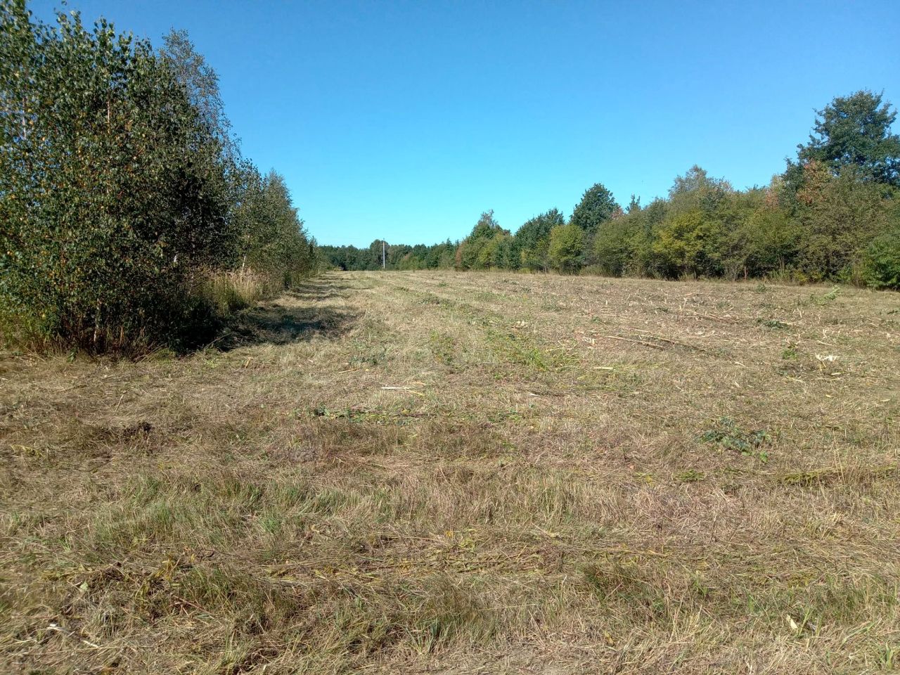 Działka rolna Obręb