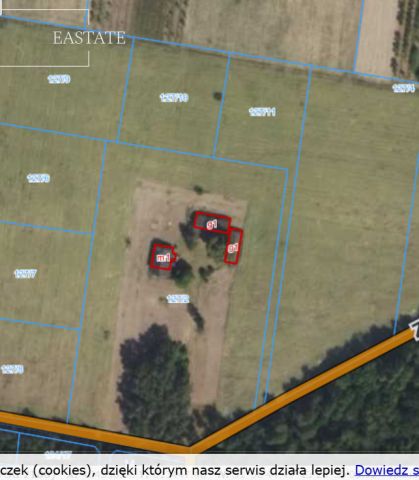 Działka rolna Petrykozy, ul. Za Gajem. Zdjęcie 2