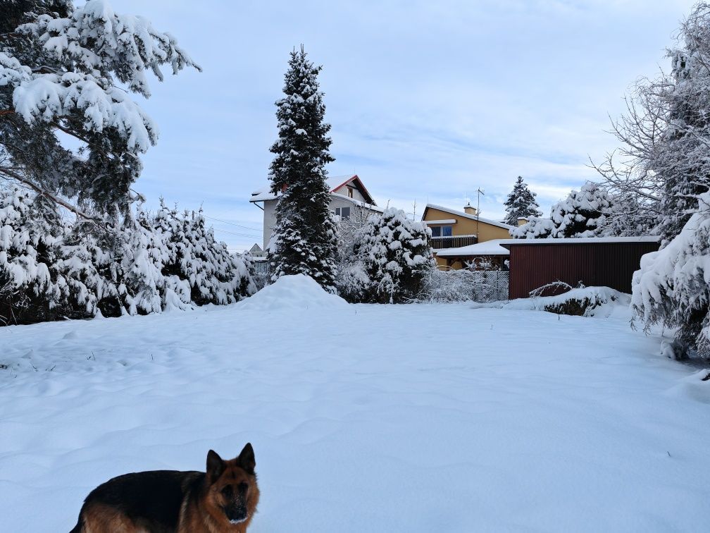 Działka budowlana Jaworze Jaworze Górne, ul. Zawilcowa. Zdjęcie 7